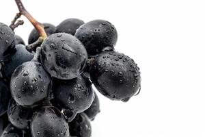A bunch of grapes with water droplets on them photo