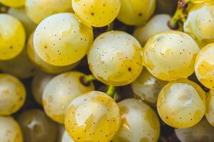 A close up of a bunch of grapes photo