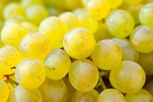 A bunch of yellow grapes with a blurry background photo