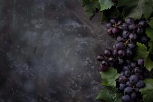 Grapes on a dark background with leaves photo