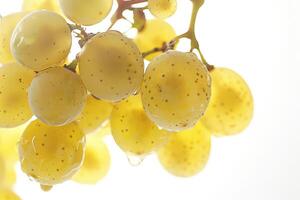 A bunch of grapes photo
