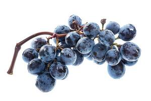 A bunch of grapes on a white background photo