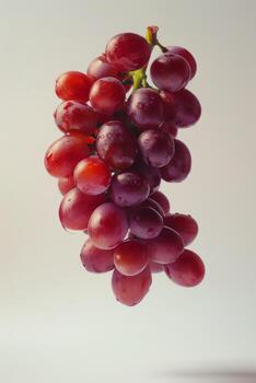 A bunch of grapes on a white background photo