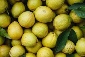 A pile of lemons with leaves photo