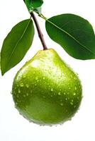 A pear hanging from a branch with water drops photo