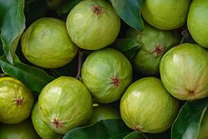 A bunch of green fruit on a tree photo