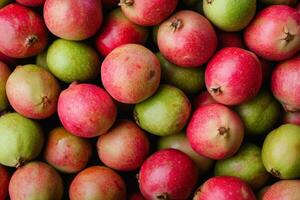 A pile of red and green apples photo