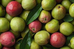 A bunch of green and red apples photo
