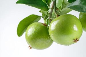 Three green fruits photo