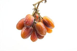 A bunch of ripe dates hanging from a branch photo