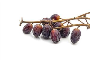 Date palm fruit on white background photo