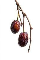 Two ripe cherries on a branch photo
