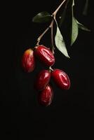 Red fruits on a branch with leaves photo