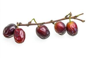 Plum fruit on a branch isolated on white background photo