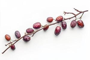 Date palm fruit on a branch photo
