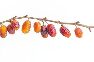 Date palm fruit photo