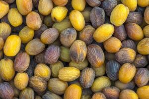 A close up of a bunch of dates photo