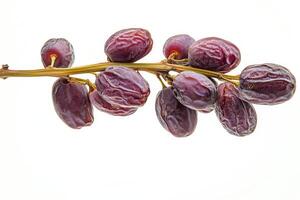 A bunch of grapes on a white background photo