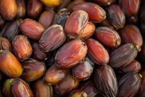 Dates are a popular food in the middle east photo