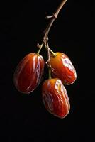 Three ripe dates on a branch photo