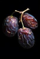 Three ripe dates on a black background photo