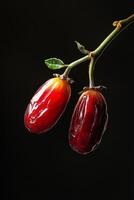 Two ripe dates on a branch photo