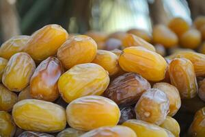 Dates are a popular food in the middle east photo