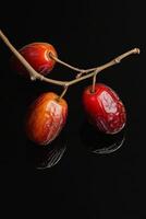 Three dates on a branch with a black background photo