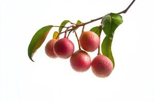 A branch with several red fruits hanging from it photo