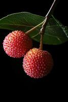 Two red fruits are on a branch photo