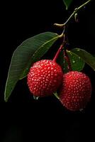 Two red fruits on a branch photo