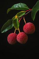 Three red fruits on a branch with leaves photo
