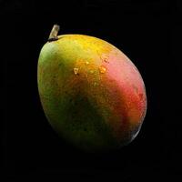A mango on a black background photo