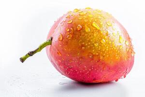 A mango with water droplets photo