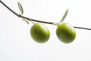 Two green olives on a branch photo