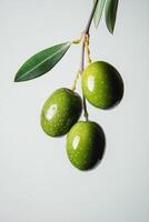 Olives on a branch with leaves photo