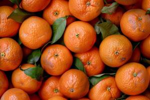 A pile of oranges with leaves on them photo