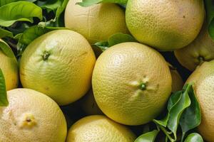 A bunch of ripe lemons on a tree photo