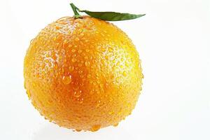 Orange with water droplets photo