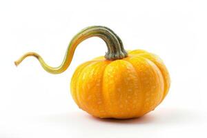 A yellow pumpkin with a long stem photo