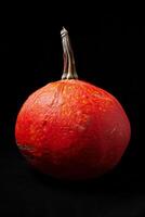 A red pumpkin on a black background photo