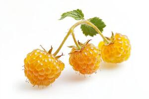 Three raspberries on a white background photo