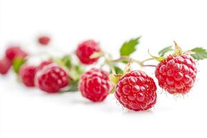 Raspberries on white background photo