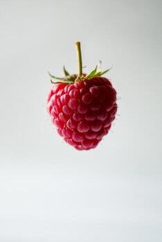 A raspberry is flying in the air photo