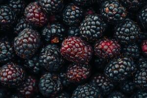 Blackberries are a great source of antioxidants photo