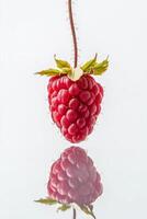 A raspberry is reflected in a mirror photo