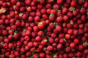 A large pile of raspberries photo