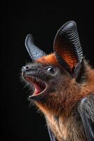 A bat with its mouth open and its eyes open photo