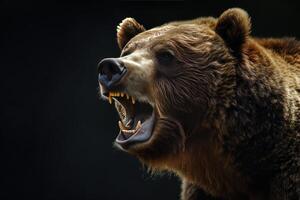 A close up of a brown bear with its mouth open photo