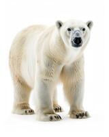 A polar bear standing in front of a white background photo